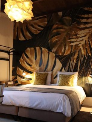 Breezand Cama Y Desayuno | LUXE Bloemenzicht 4 personen, BnB, 10 minuten van zee