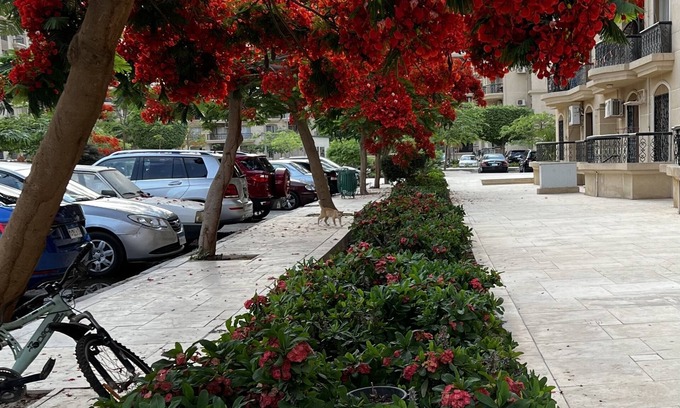 Al Rehab Apartamento | Luxe Living - 3 Bedrooms in Rehab City New Cairo Egypt