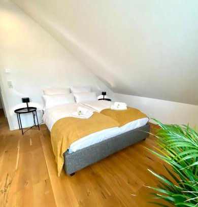 Mainz-Bingen Apartamento | Luxuriöses Penthouse mit Parkplatz zentral in Eltville