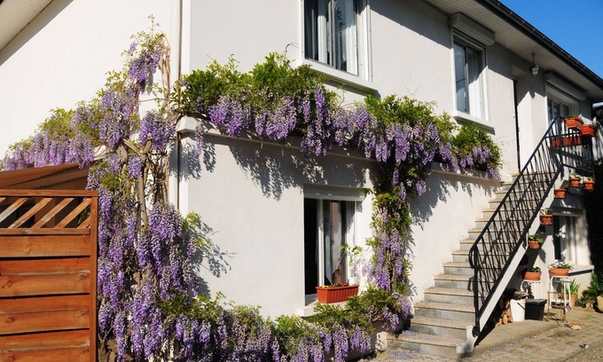 Lau-Balagnas Apartamento | Luxurious 3 bedroom Apartment set in the heart of the Pyrenees........
