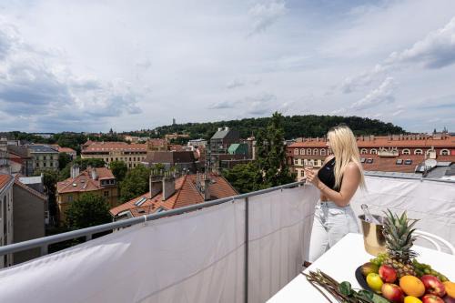 Nove Mesto Apartamento | Luxurious Castle Suite