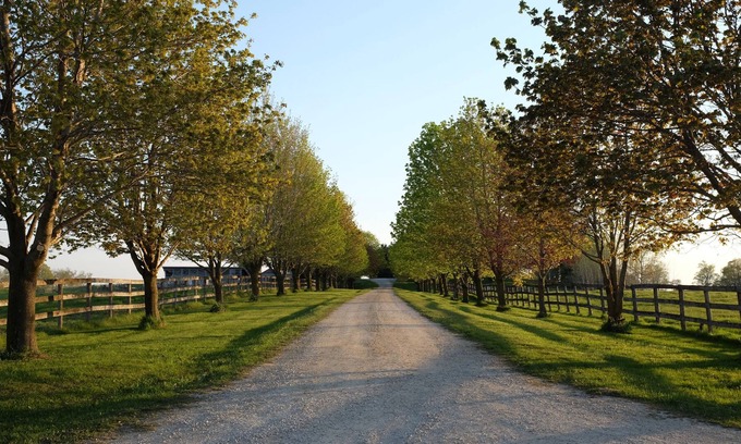 Centre Wellington Casa | Luxurious Farmhouse Equestrian Estate Getaway