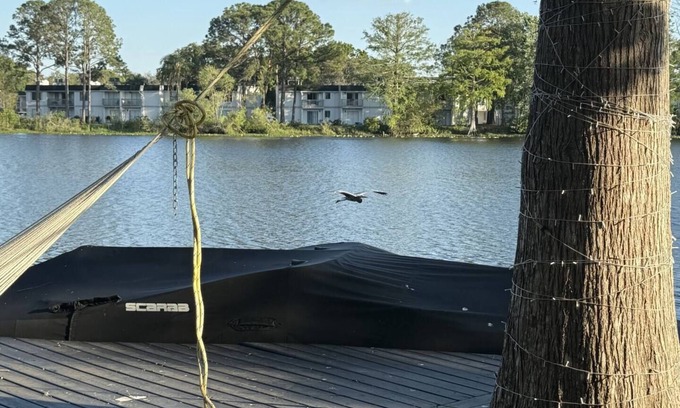 Bearss Plaza Casa | Luxury 5-Bedroom Waterfront Oasis w/ Pool, Dock & Views