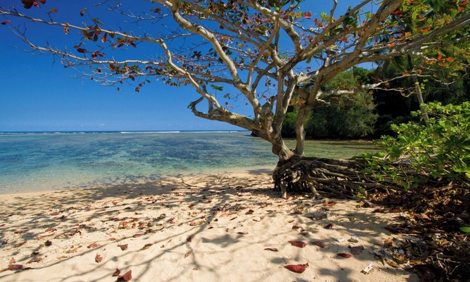 Princeville Casa | Luxury Beachfront Home on Beautiful Anini Beach! TVR 5079 TVR 5080