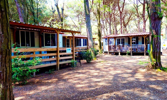 Lido di Spina Chalet De Esquí | Luxury Chalet near the sea! (no: 724)