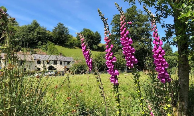Exford Casa | Luxury Exmoor Barn conversion with Sauna