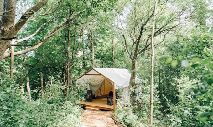 Elora Cabina | Luxury Glamping on Elora Flower Farm - Fox