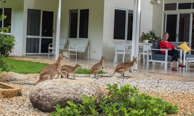 Clifton Beach Casa | Luxury Home in Nature surrounded by Wallabies