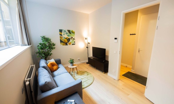 Centrum Villa | Luxury Urban 3BDR Apartment WS