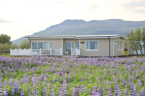 Hjardarfell Casa | Lynghagi House