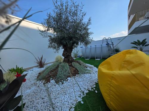 Municipio 5 Apartamento | M4REE Seaside Suites & Relax