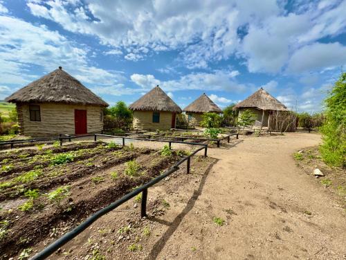 Arusha Region Apartamento | Maasai Eco Boma & Lodge - Experience Maasai Culture