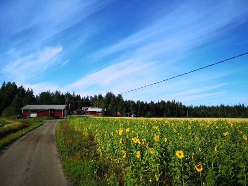 Peraseinajoki Casa | Maatilamatkailu Ilomäki