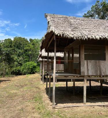 Saquena Otro | Macaw Adventures Lodge