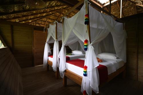 Nuqui Cabina | Madre Selva Eco Lodge