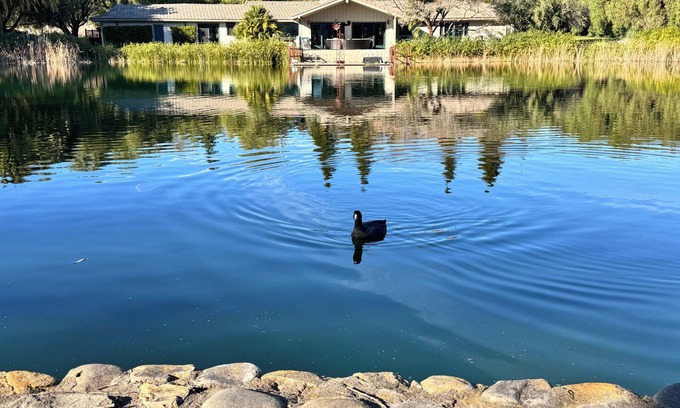 Santa Ynez Otro | Magical 5 Acre Estate combines country charm with a resort-like atmosphere.