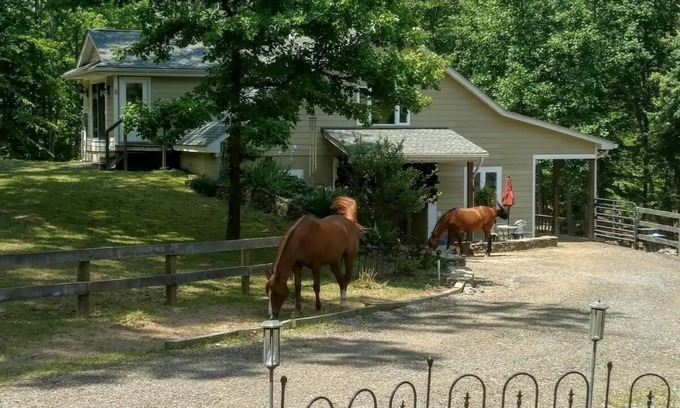 Marshall Casa | Unicorn Hollow / VA Wine / Great Meadows / Warrenton / The Plains