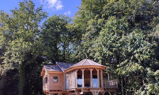 Gomene Cabina | Magnifique Cabane Perchée Avec Jacuzzi Privatif