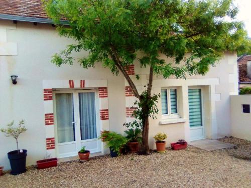Selles-sur-Cher Casa | Maison accueillante avec jardin à Selles-sur-Cher