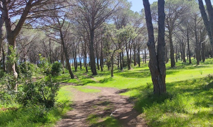 Baia Sant'Anna Casa | Maison Budoni EN Bord DE MER -UN Havre DE Paix A Baïa Sant'anna EN Sardaigne