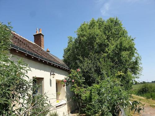 Cangey Casa | Maison de campagne - Cangey