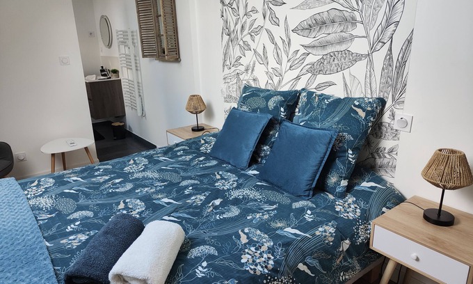 Noyant-de-Touraine Apartamento | Maison de Famille-Apartamento-Moderno-Baño con bañera-Vista al patio