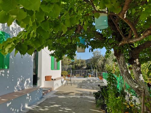 Psinthos Casa | Maison de village au calme - Alonia Village House
