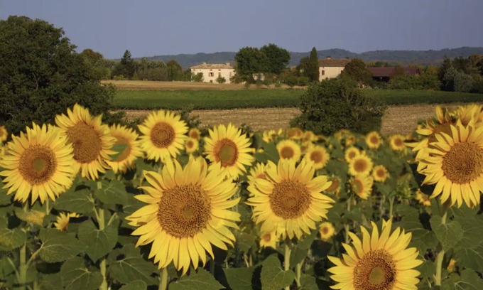 Alos Casa | Maison Elise, Southern France Country Home