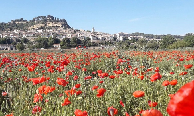 Cadenet Casa | Maison Lumineuse Avec Jardin - Sud Luberon