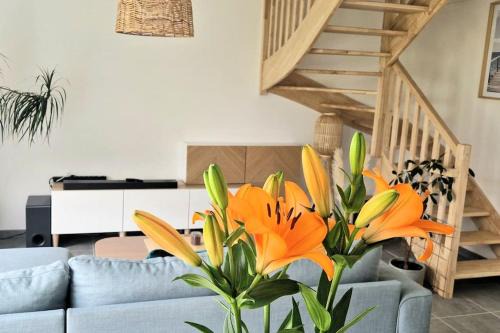 Baden Casa | Maison moderne à Baden