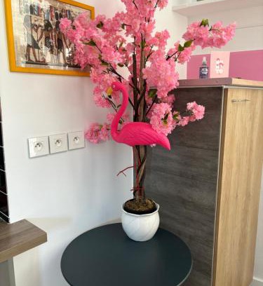 Tille Casa | maison pink flamingo aeroport tillé 2 a 4 personnes