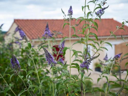 Fossemagne Casa | Maison tout confort au cœur du Périgord avec jardin, parking et Wi-Fi - FR-1-616-262