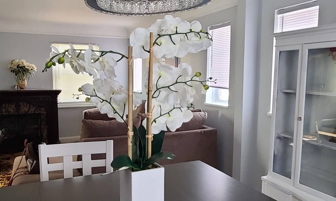 Detroit Casa | "Make Memories in Detroit: Reserve Your Dream Rental Today!"