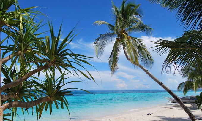 Daanbantayan Complejo | Malapascua Exotic Island Dive and Beach Resort