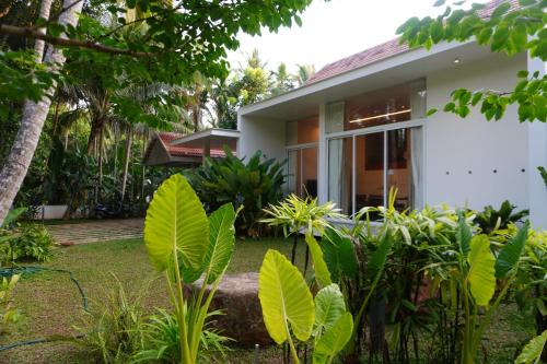 Kozhikode Casa | Malhar