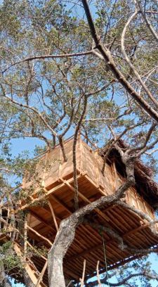 Palatupana Hotel | Mamba Yala
