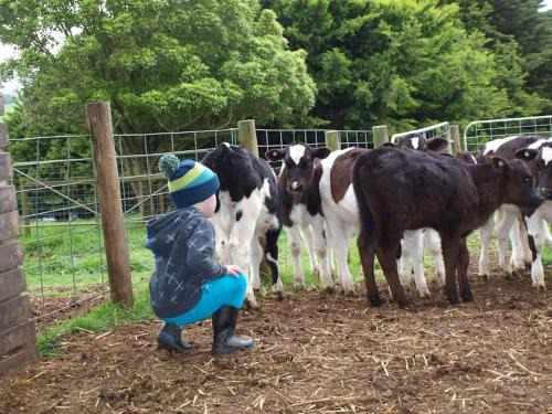 Buln Buln Cama Y Desayuno | Manderley Park Farmstay B&B
