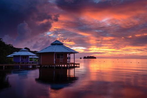Roatan Complejo | Mango Creek Resort