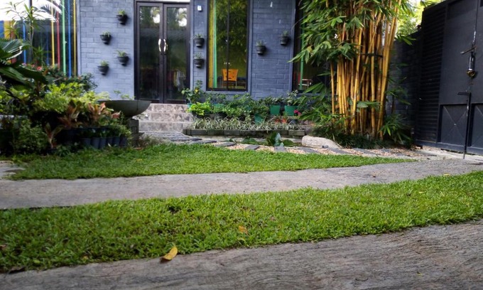 Veyangoda Casa | Mango Roots