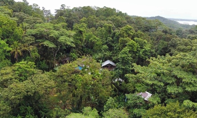 Isla Bastimentos Villa | Habitación Manipura: balcón privado, hamaca e impresionantes vistas a la jungla.