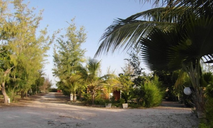 Niaga Casa | Manon Des Sources