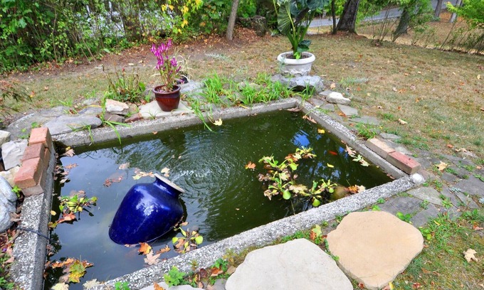 Berkeley Springs Cabina | Manor at Berkeley Springs