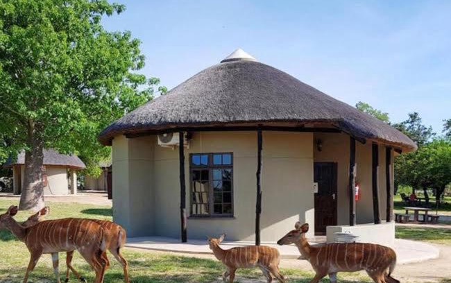 Kruger National Park Cabina | Manyeleti Big 5 Game Reserve
