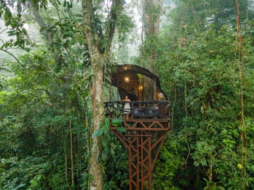 Chilamate Cabina | Maquenque Ecolodge
