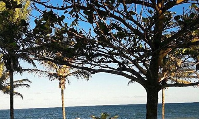Canto do Mar Hotel | Mar de Guarajuba