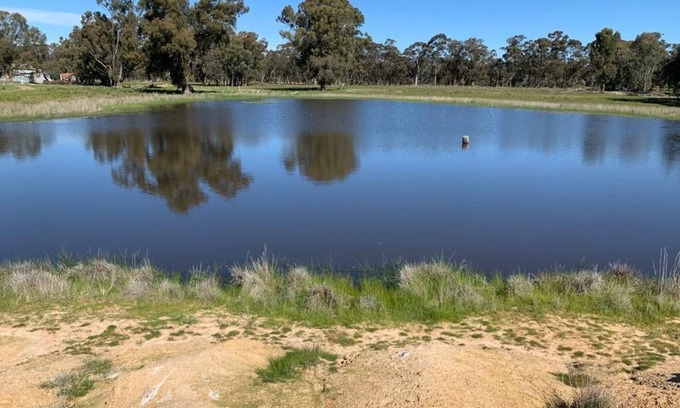 Violet Town Otro | Mariam Farm stay next to Hume Highway