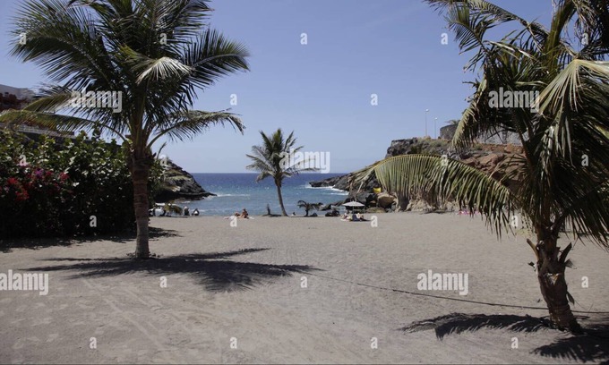 Playa Paraiso Apartamento | Apartamento Marina Palace