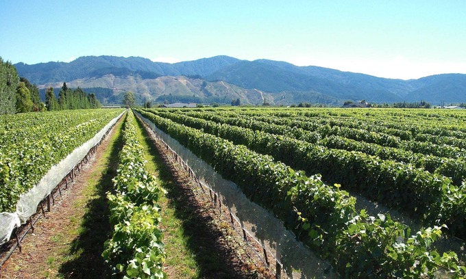 Renwick Cabaña | Marlborough Magic - Rapaura Holiday Home