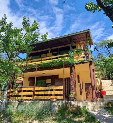 Petrovaradin Apartamento | Marley kuca za odmor