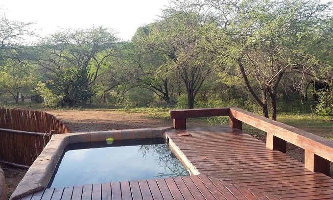 Marloth Park Casa | Marloth Kruger susurrando hormigas